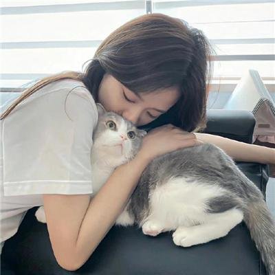 我的朋友叫哈维