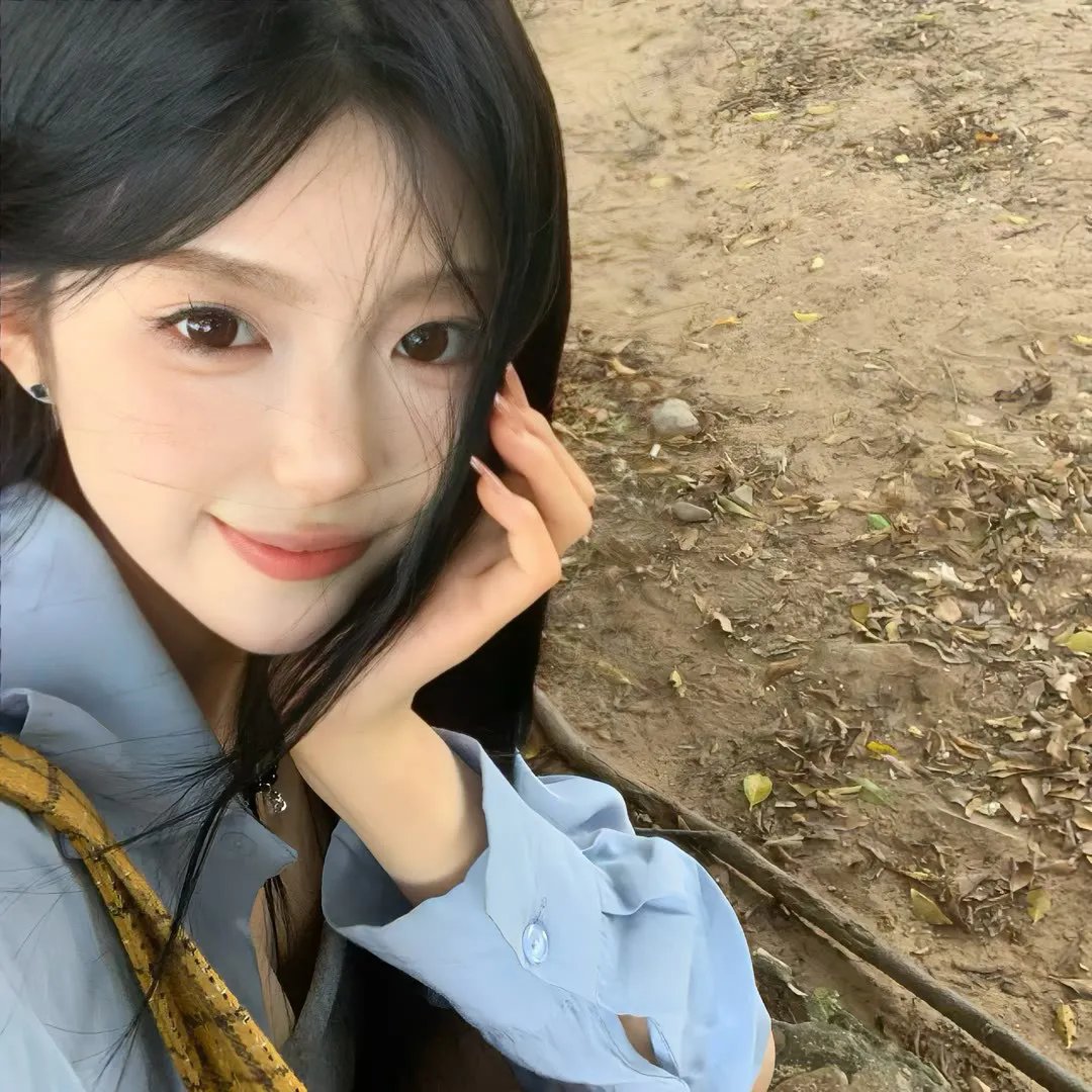 动物狂想曲第一季